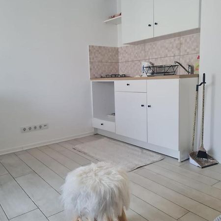 Cute Modern Apartman Zagreb Apartment Ngoại thất bức ảnh